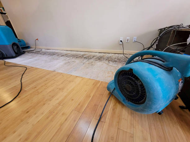 Professional Water Damage Repair technician working in North Lawrence, OH